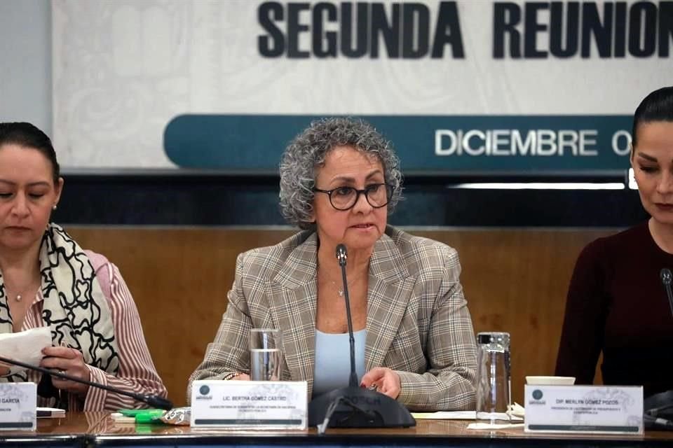 Bertha Gómez Castro, economista por la UNAM y con estudios superiores en el Tecnológico de Monterrey, es actualmente la subsecretaria de Egresos de la dependencia, con licencia en el cargo hasta 2030.