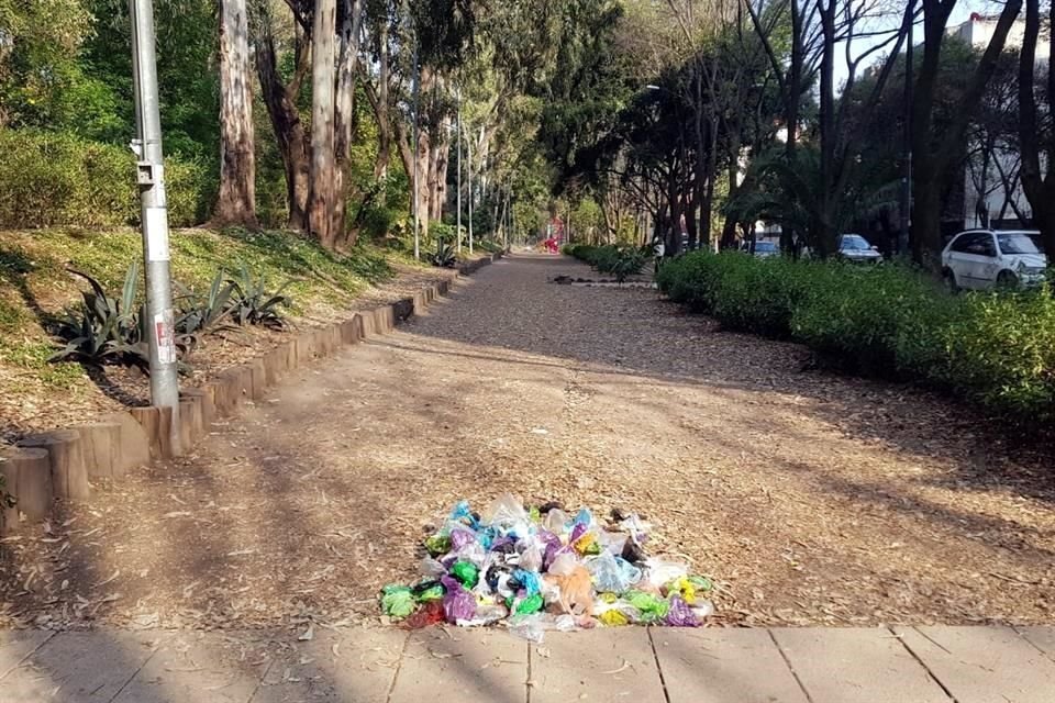 Advierten que el mal manejo de heces en la zona puede representar un riesgo.