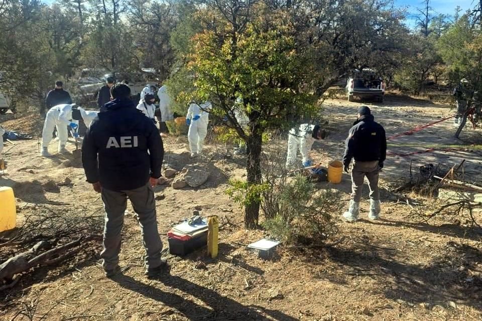 Las fosas fueron procesadas por peritos de criminología, antropólogos forenses, agentes del Ministerio Público y elementos de la Agencia Estatal de Investigación.