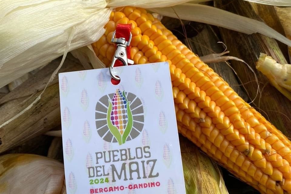 El programa 'Pueblos del Maíz', organizado por la UNESCO, vincula países y ciudades en donde el maíz forma parte esencial de su cultura y su patrimonio gastronómico.