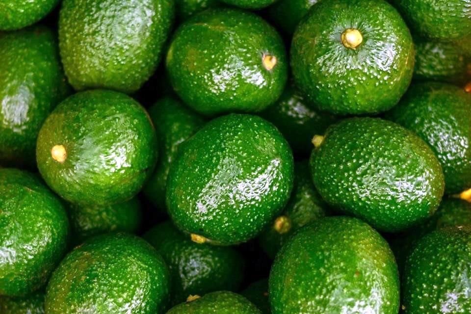 México es el mayor productor y exportador mundial de aguacate.