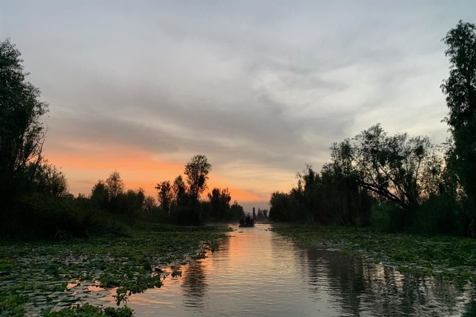 Un estudio de la Sedema explicó que los humedales de Xochimilco subsisten como un legado de una cuenca cuyos lagos eran alimentados por los ríos de las montañas.