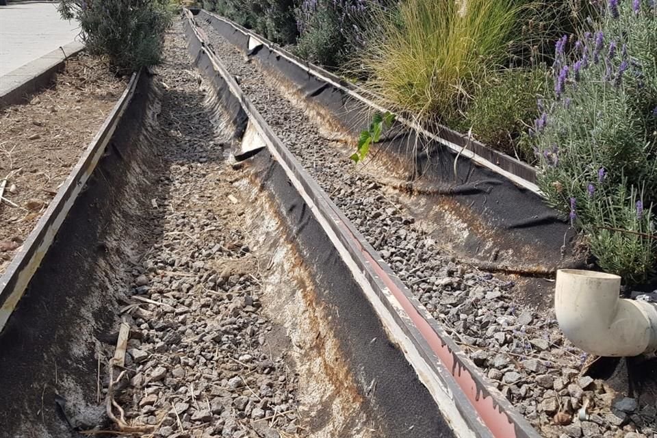 Las canaletas del humedal lucen aún con hojas secas, pues su rehabilitación se ha enfocado sólo en las jardineras.