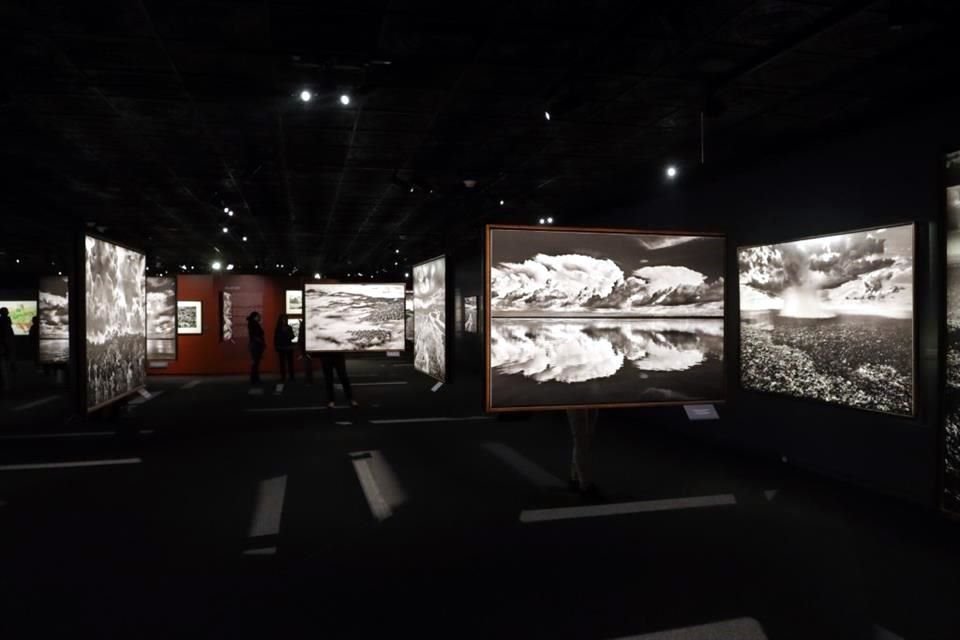 'Amazonas es el paraíso en la Tierra', sostiene el fotógrafo que cumplirá 81 años este 8 de febrero.