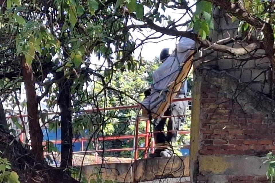 Los cadáveres estaban debajo de una estructura que atraviesa la zona del río.