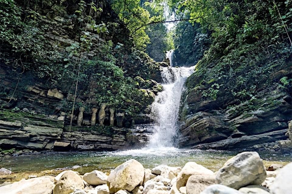 Para los amantes de lo verde, la cascada del jardín es toda una oda a los paisajes.