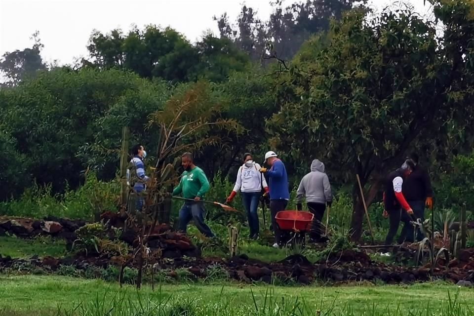 Los sancionados acuden hasta por seis horas para cumplir con servicio comunitario en parques de la Ciudad.