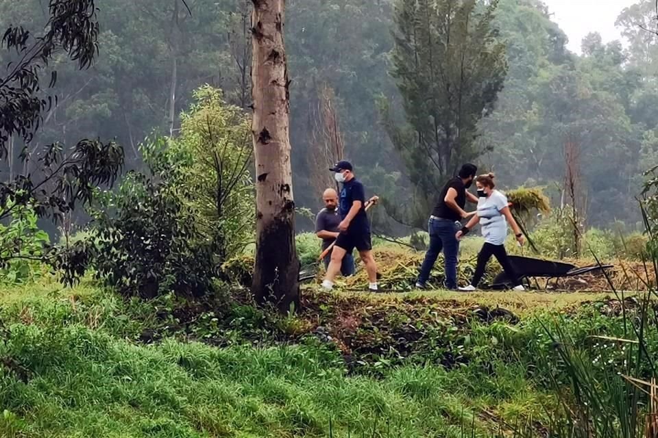 Infractores del límite de velocidad realizan trabajo comunitario en el Parque Ecológico Xochimilco como parte de su sanción.