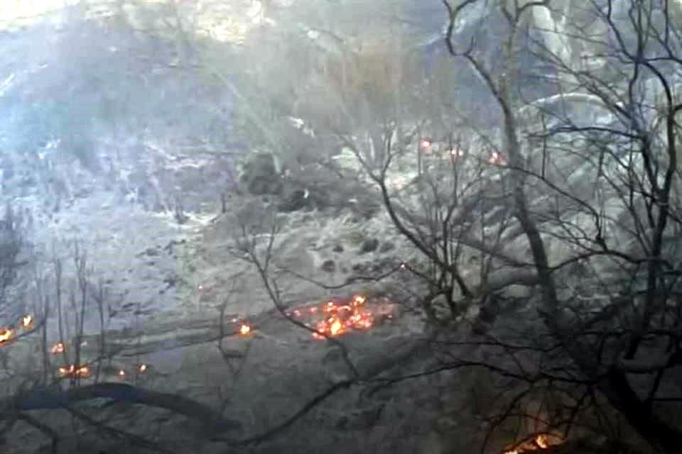 Aspecto de un predio en un arroyo dentro de los terrenos de Casa Madero, en Parras de la Fuente, Coahuila, donde un incendio el 9 de febrero de 2025, arrasó maleza y plantas.