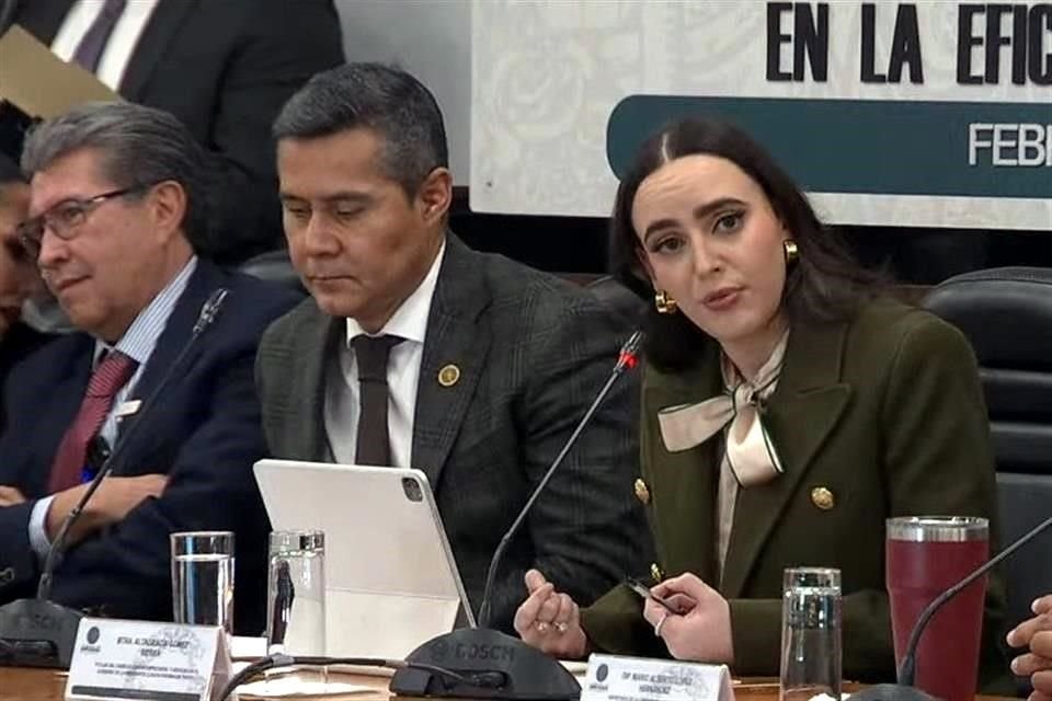 Altagracia Gómez, coordinadora del Consejo Asesor para Desarrollo Económico de Presidencia, durante su ponencia en San Lázaro.