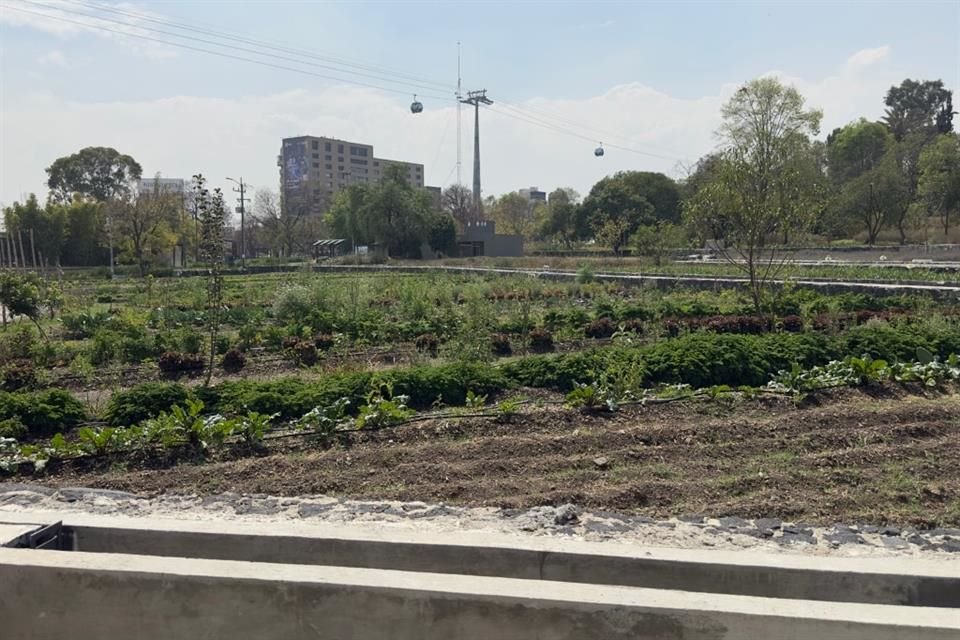 Alrededor del Centro de Cultura Ambiental se construyeron una serie de canales que debían de dotar de agua a la vegetación; sin embargo, estos dejaron de funcionar.