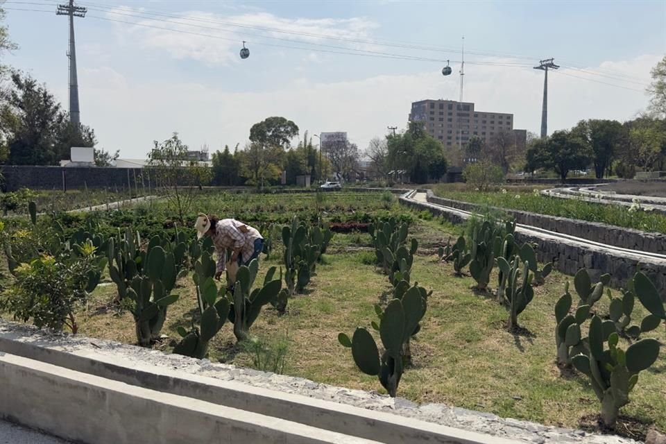 El sistema de riego de los jardines y huertos del Centro de Cultura Ambiental (CCA) dejó de operar.