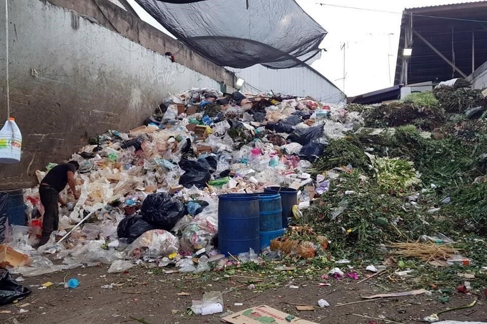 Al aumentar el reciclaje, disminuirá el volumen enviado con tractocamiones a los depósitos foráneos, a fin de disminuir en 37 por ciento el gasto destinado a empresas privadas.  