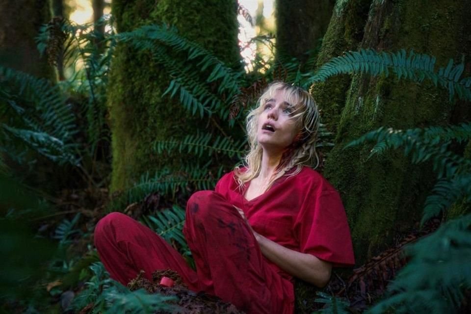 Esta cinta presume originalidad desde el inicio.