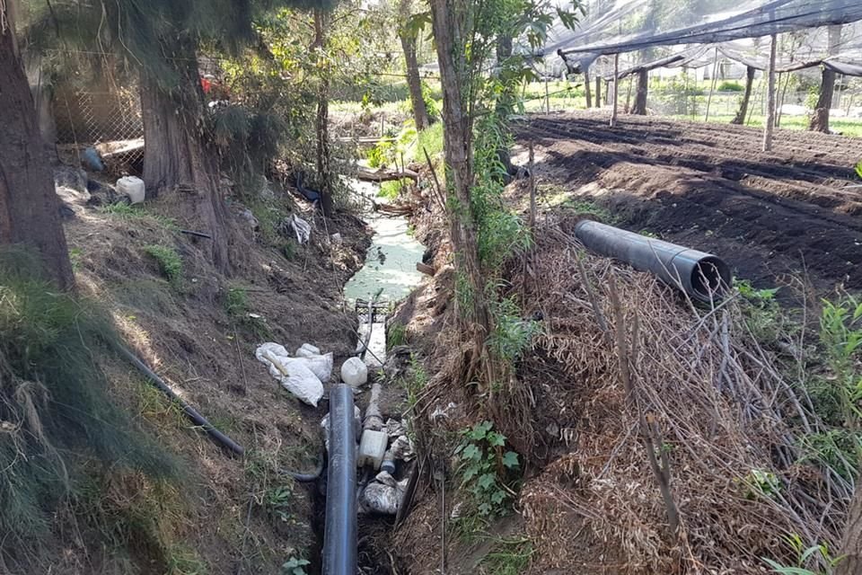 La instalación de un tubo de polietileno de alta densidad en los canales quedó inconclusa por el Gobierno de la Ciudad, afectando el servicio en el área chinampera de Xochimilco.