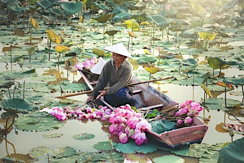 Laos.