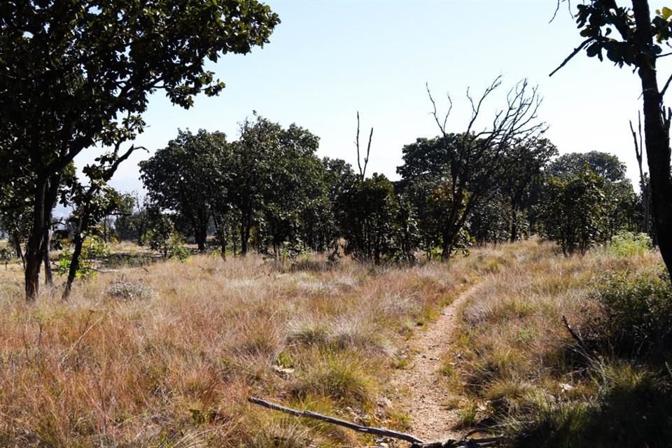 Buscan se nombre a la zona como Área Estatal de Protección Hidrológica Cerro El Tajo.