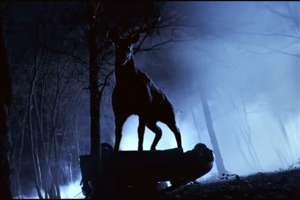 El tráiler de la película ofrece una reinterpretación macabra y distorsionada de la clásica historia.
