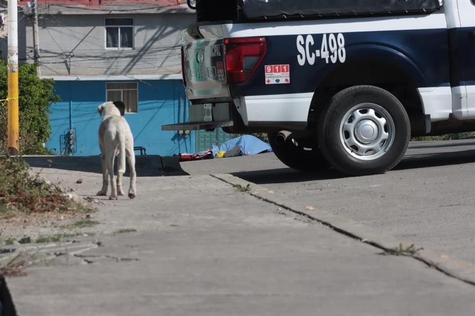 La víctima estaba tendida sobre Calle Tlazala de Isidro Fabela, frente al plantel 25 del Colegio de Bachilleres del Estado de México (COBAEM).