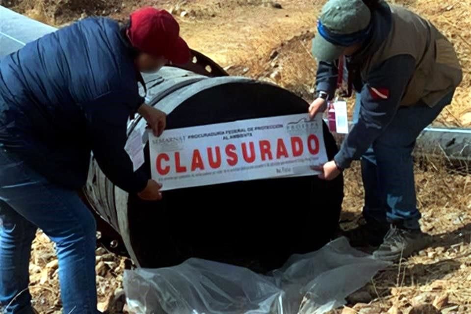 Elementos de la Procuraduría Federal de Protección al Ambiente determinaron que, para la instalación del acueducto, fue necesaria la remoción de vegetación en algunos tramos que recorre la tubería.