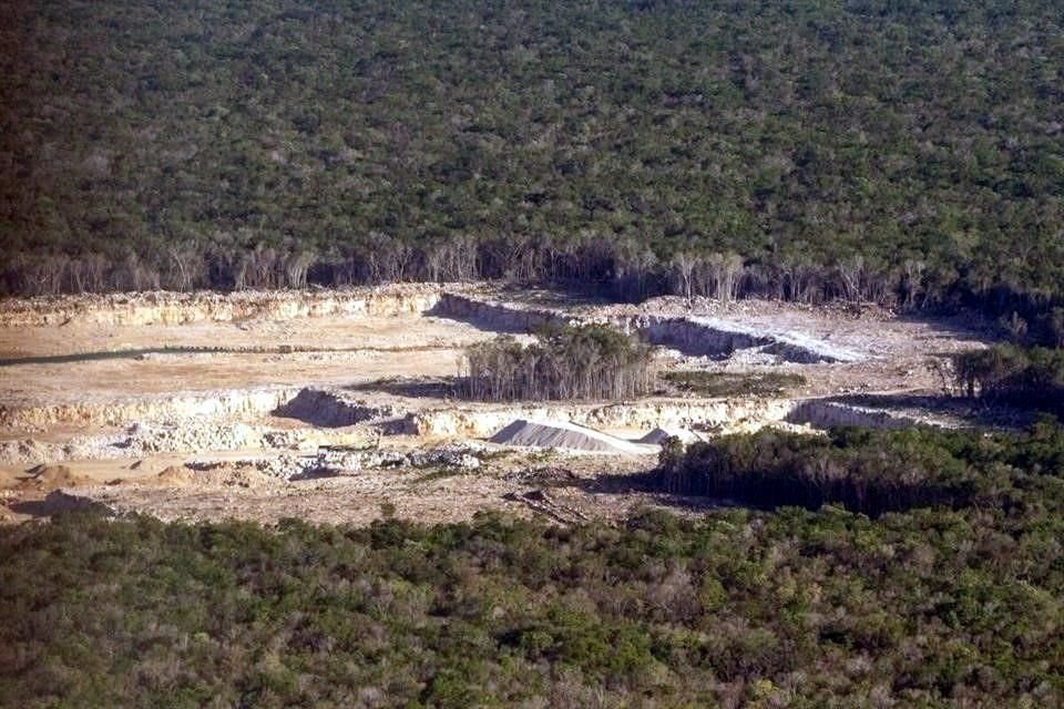 Greenpeace advirtió que el saqueo de materiales a costa de la selva es una práctica extendida en toda la Península de Yucatán.