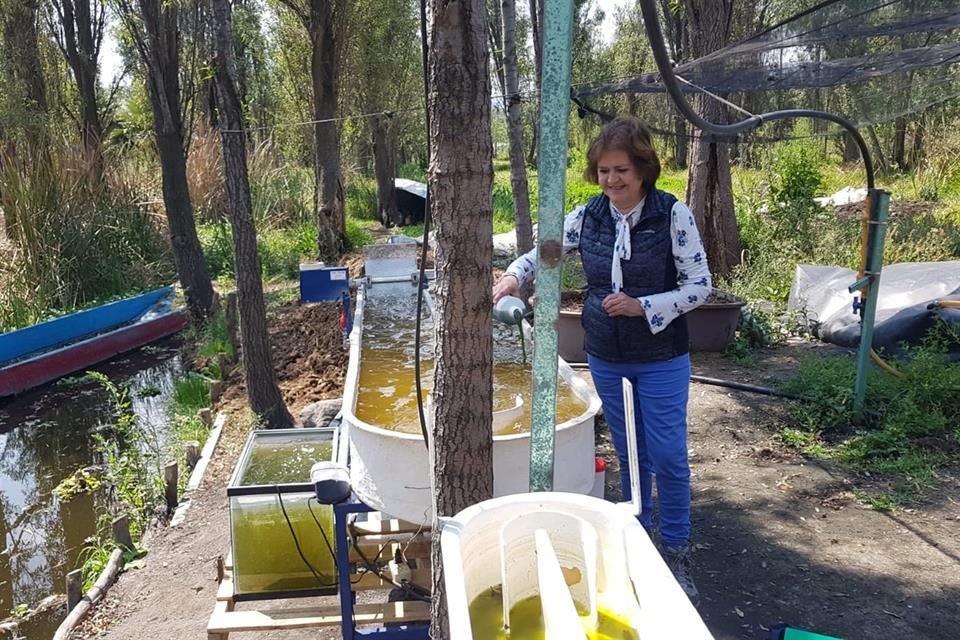 María Teresa Orta, investigadora del Instituto de Ingeniería de la UNAM y quien arrancó el programa piloto.