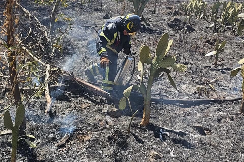 En Valle de Luces, en Iztapalapa una hectárea fue afectada.