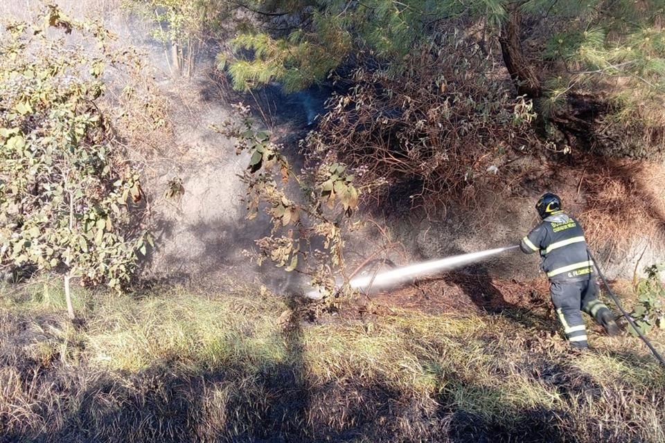 Una conflagración de pasto seco y hojarasca se registró en Álvaro Obregón.