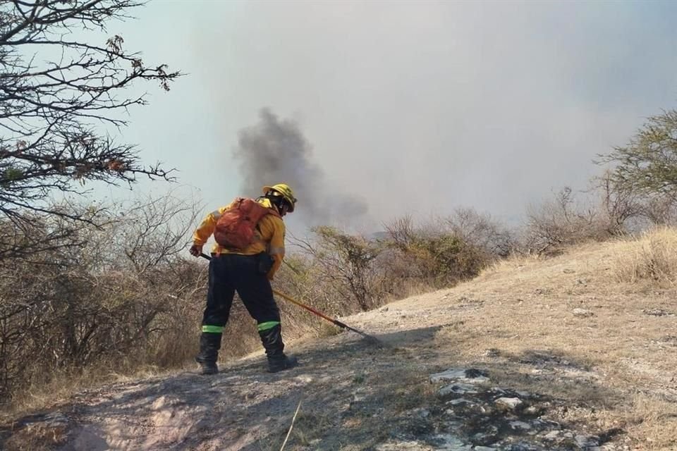 Incendio forestal ha consumido al menos 50 hectáreas de pastizales y arbustos en el Municipio de Iguala, Guerrero, desde el pasado viernes.