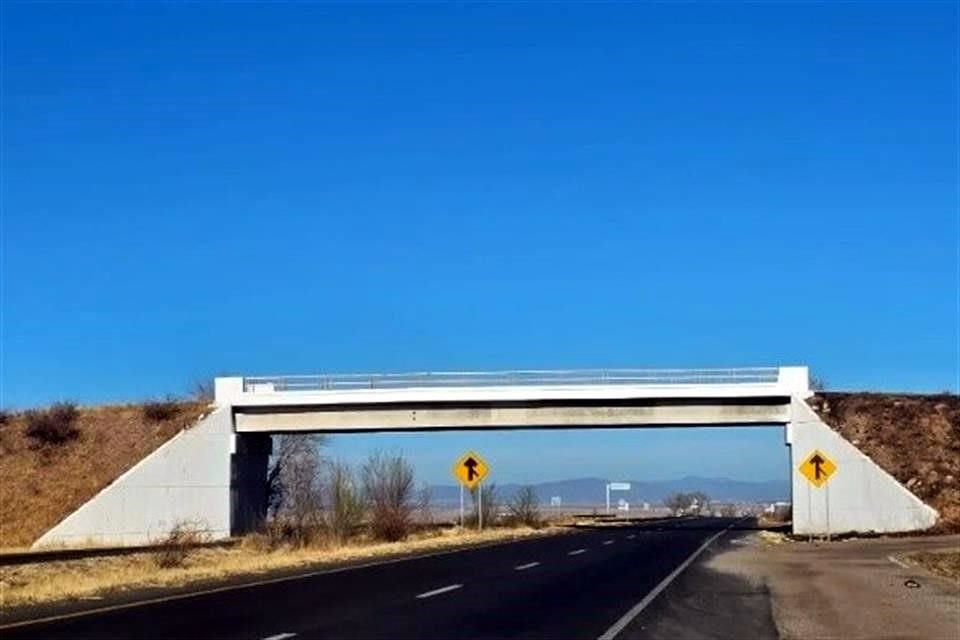 El hallazgo ocurrió en la carretera Cuauhtémoc-La Junta, a la altura del municipio de Guerrero.