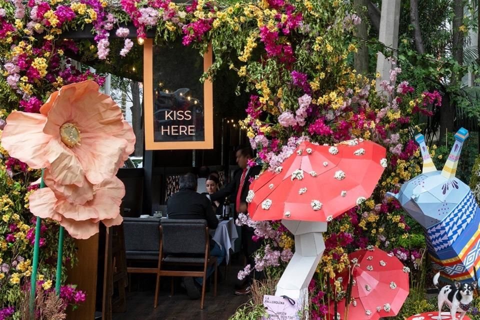 La avenida Presidente Masaryk se vestirá una vez más de orquídeas, rosas, margaritas, gerberas, nardos y muchas flores más para darle la bienvenida a más de 200 mil visitantes en 90 establecimientos.