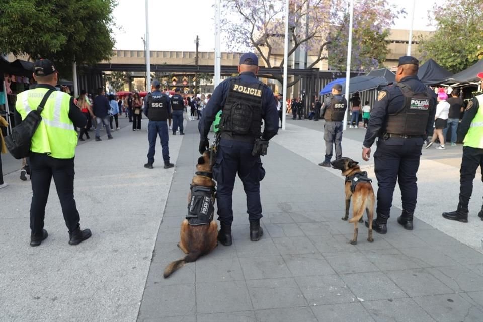 A lo largo de los accesos también se desplegaron perritos policía, como Kira, Layla, Zory, Héctor, Zeus, Kratos y Toshka, que formaron parte de los binomios caninos.