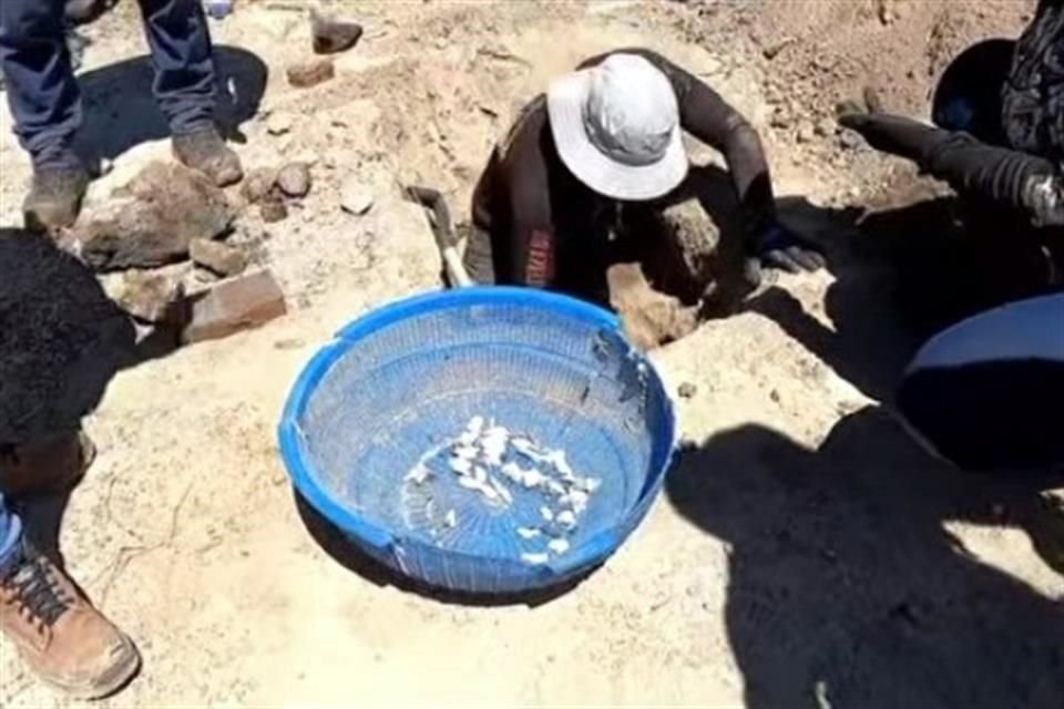 Miembros del Colectivo Guerreros Buscadores de Jalisco en Rancho Izaguirre, en Teuchitlán.