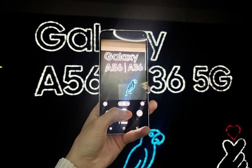 Los modelos Galaxy A56 y A36 prometen mejoras en sus cámaras frontales con HDR para fotos y videos más nítidos.