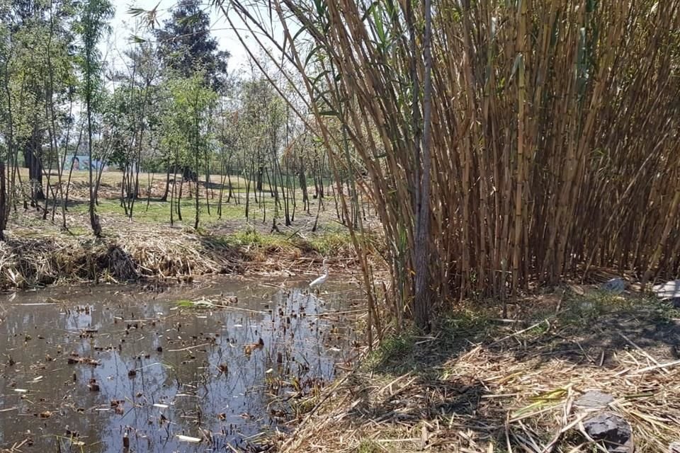 En la temporada de estiaje, el espacio es vulnerable a incendios.