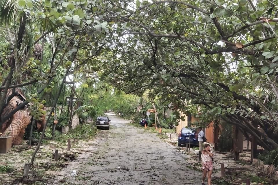 Autoridades reportaron caídas de árboles en Tulum.