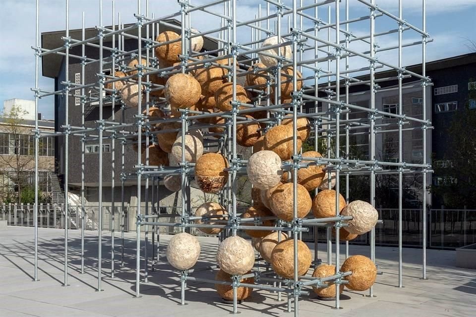 Las esferas de micelio son totalmente biodegradables y se descomponen al final de su ciclo de vida.