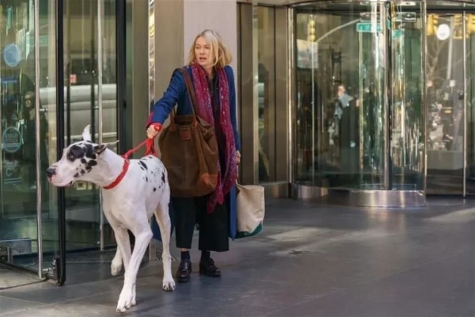Bing, el gran danés de 'The Friend', robó el corazón de Naomi Watts, superando retos en el set para interpretar un papel conmovedor.