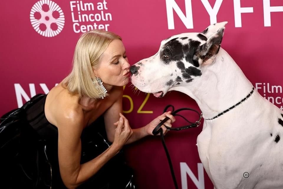 Bing, el gran danés de 'The Friend', robó el corazón de Naomi Watts, superando retos en el set para interpretar un papel conmovedor.