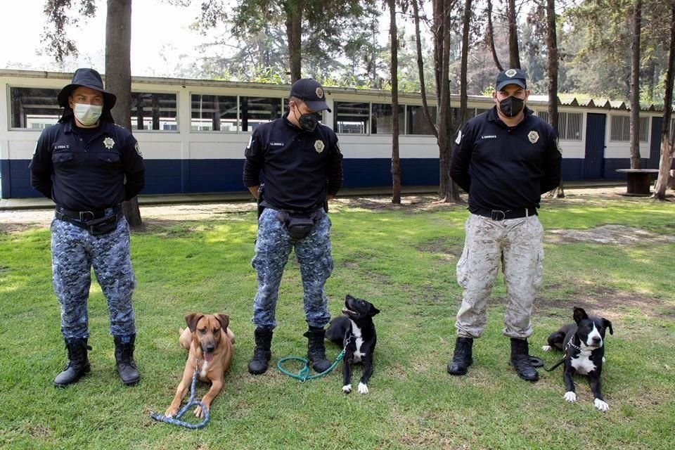 El 20 de agosto de 2005 inició a trabajar la BVA y se creó a partir de que se legisló a favor de los animales en la Ciudad de México por los altos índices de maltrato.