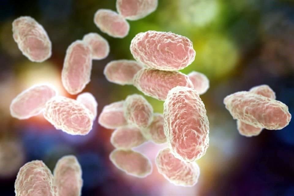 Con 696 casos confirmados y 37 defunciones en 14 estados, la Secretaría de Salud emitió un aviso epidemiológico por el incremento de casos de tosferina en el País.