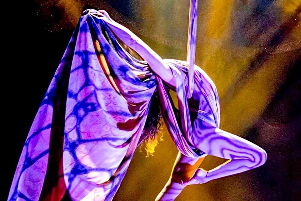 El Circo Atayde Hermanos sigue cautivando sin animales, con malabaristas, trapecistas y el icónico Payaso Mingo.