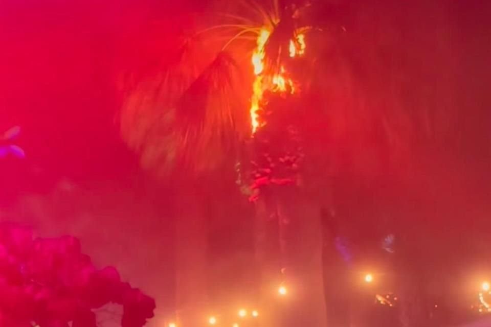 La pirotecnia usada al final del show de Green Day en Coachella enloqueció y terminó incendiando una palmera rodeada de gente.