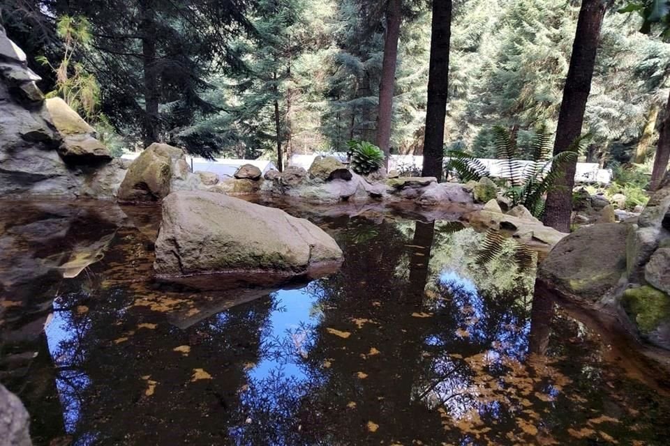 El manantial Ojo de Agua se ubica en el Pueblo de Santa Rosa Xochiac, en Álvaro Obregón.