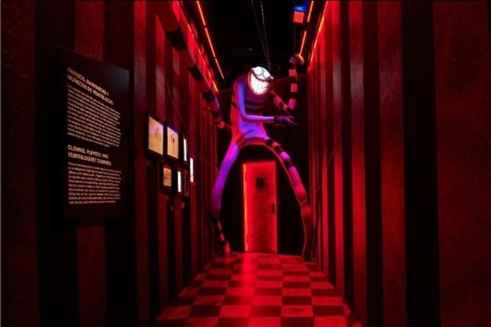 Exhibición de las películas del director