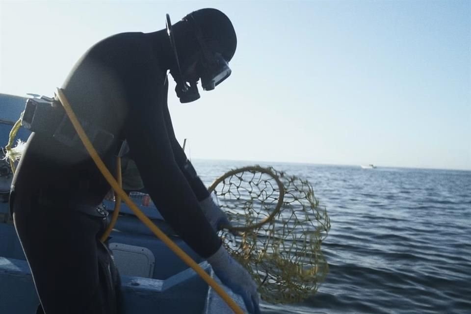 El documental 'Surgencia' de Alejandro Montalvo, ganador en marzo de 2025, explora la gastronomía y la identidad de Baja California.
