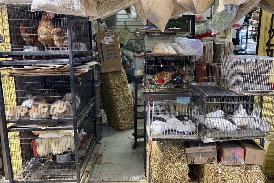 El Sonora luce igual que antes del incendio. La reconversión no pasó de una buena intención.