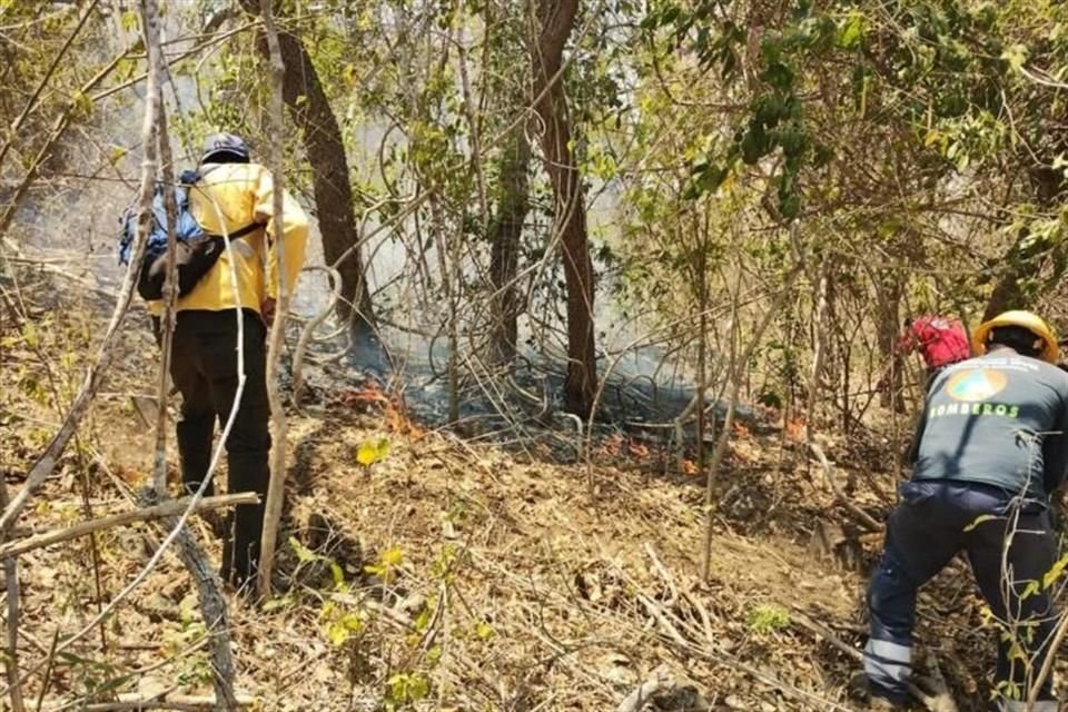 Guerrero informó que helicóptero militar se sumará a tareas de sofocación de incendio en cerro de Iguala, con más de una semana activo.