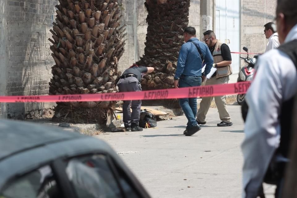 En la esquina de Calle Héroes del 47 y Dalia, también en el Barrio Canasteros, estaba el torso junto a una palmera.