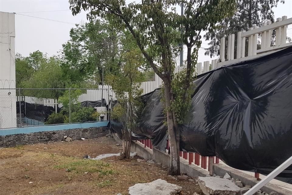 Hace un mes vecinos advirtieron que las obras para la Utopía provocarían daños al arbolado del Parque Japón.  